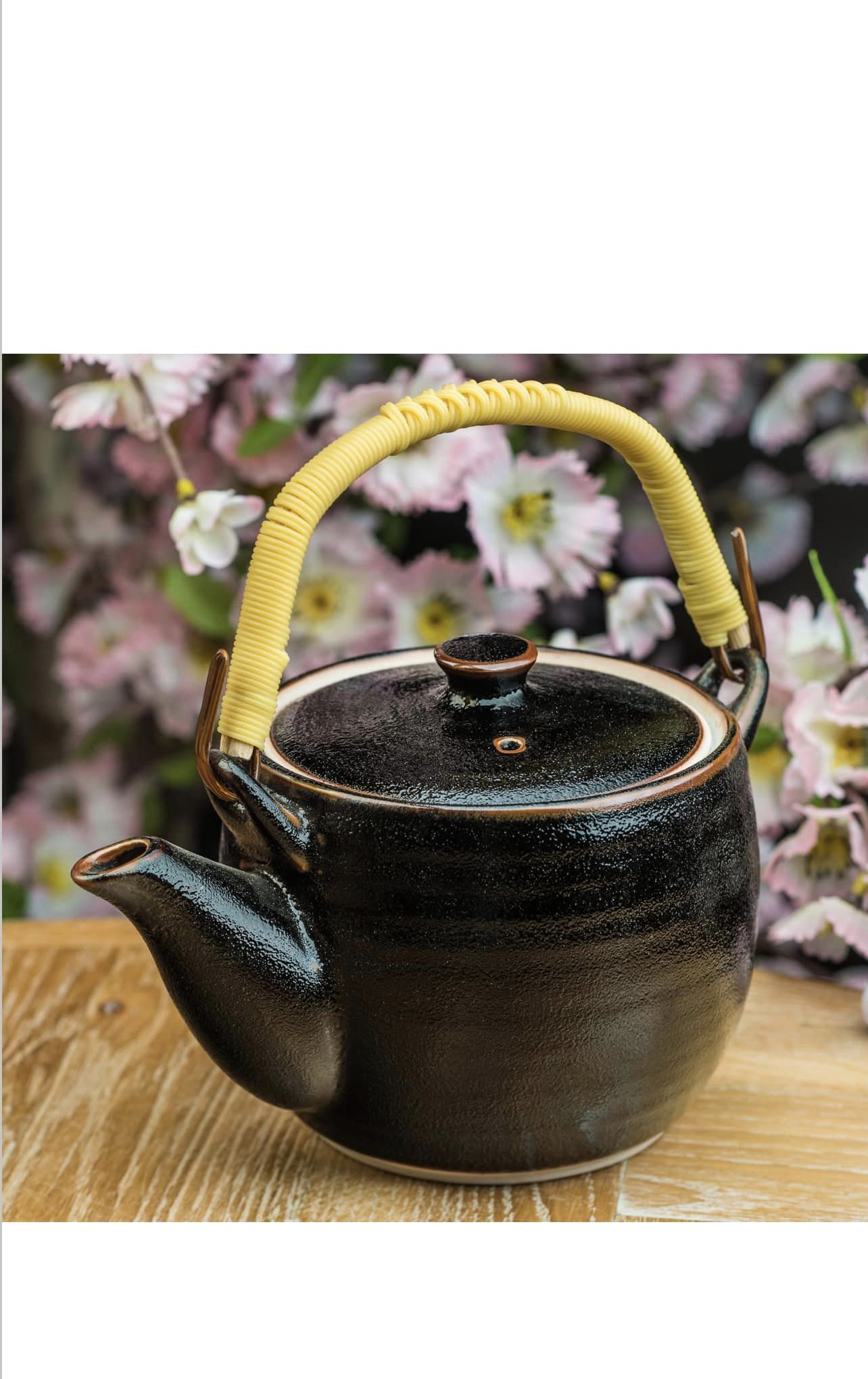 Tenmoku Black Japanese Teapot