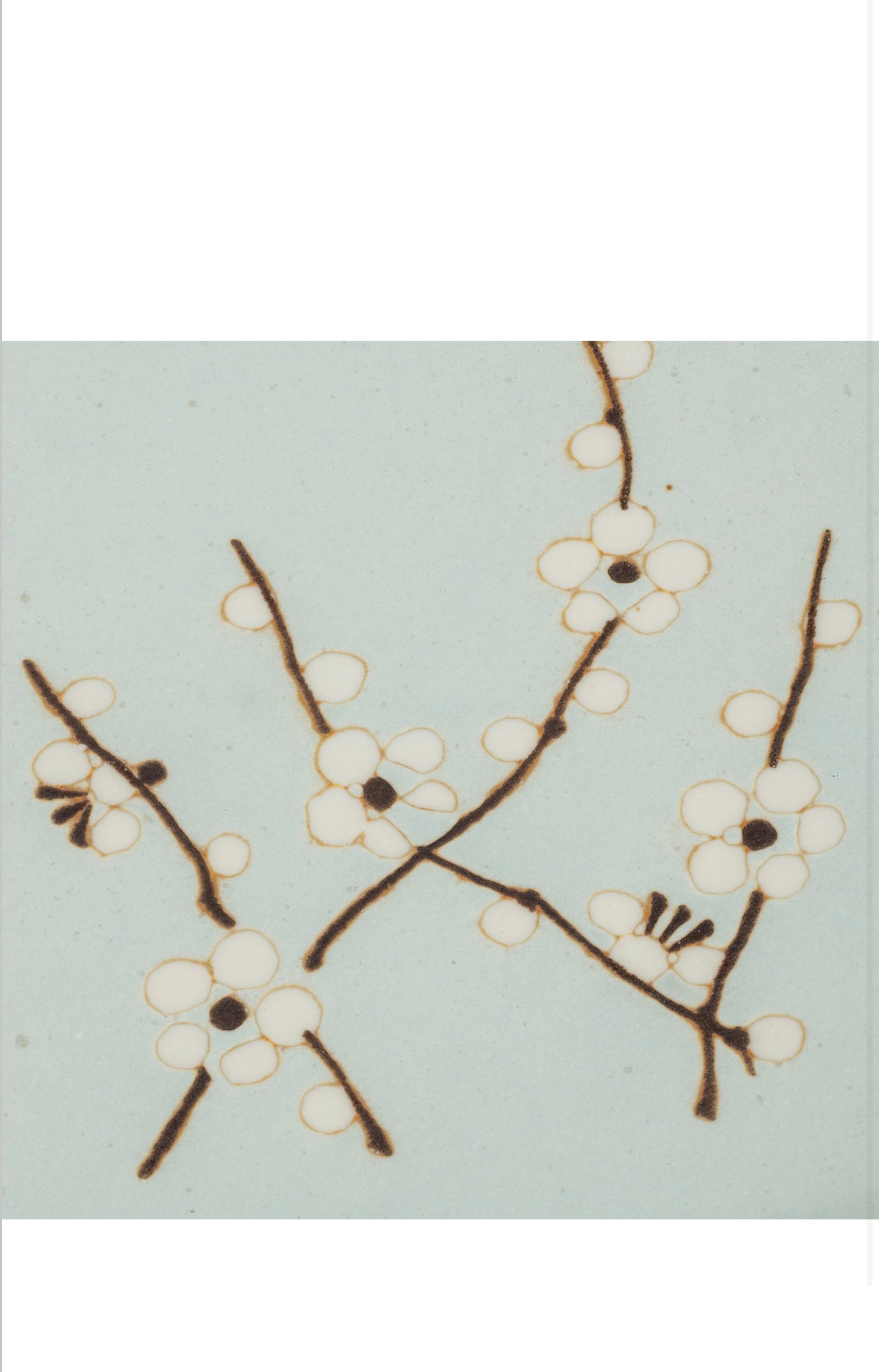Soushun Cherry Blossom Japanese Sushi Plate