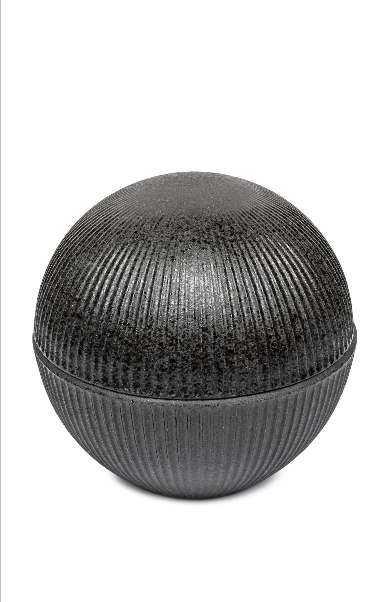 Kokutan Premium Japanese Bowl and Lid