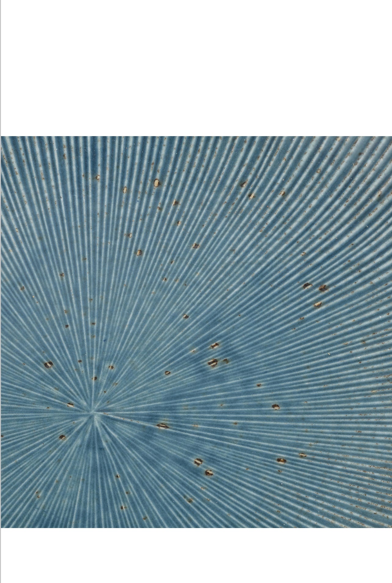 Blue Wabi Sabi Premium Large Japanese Serving Plate