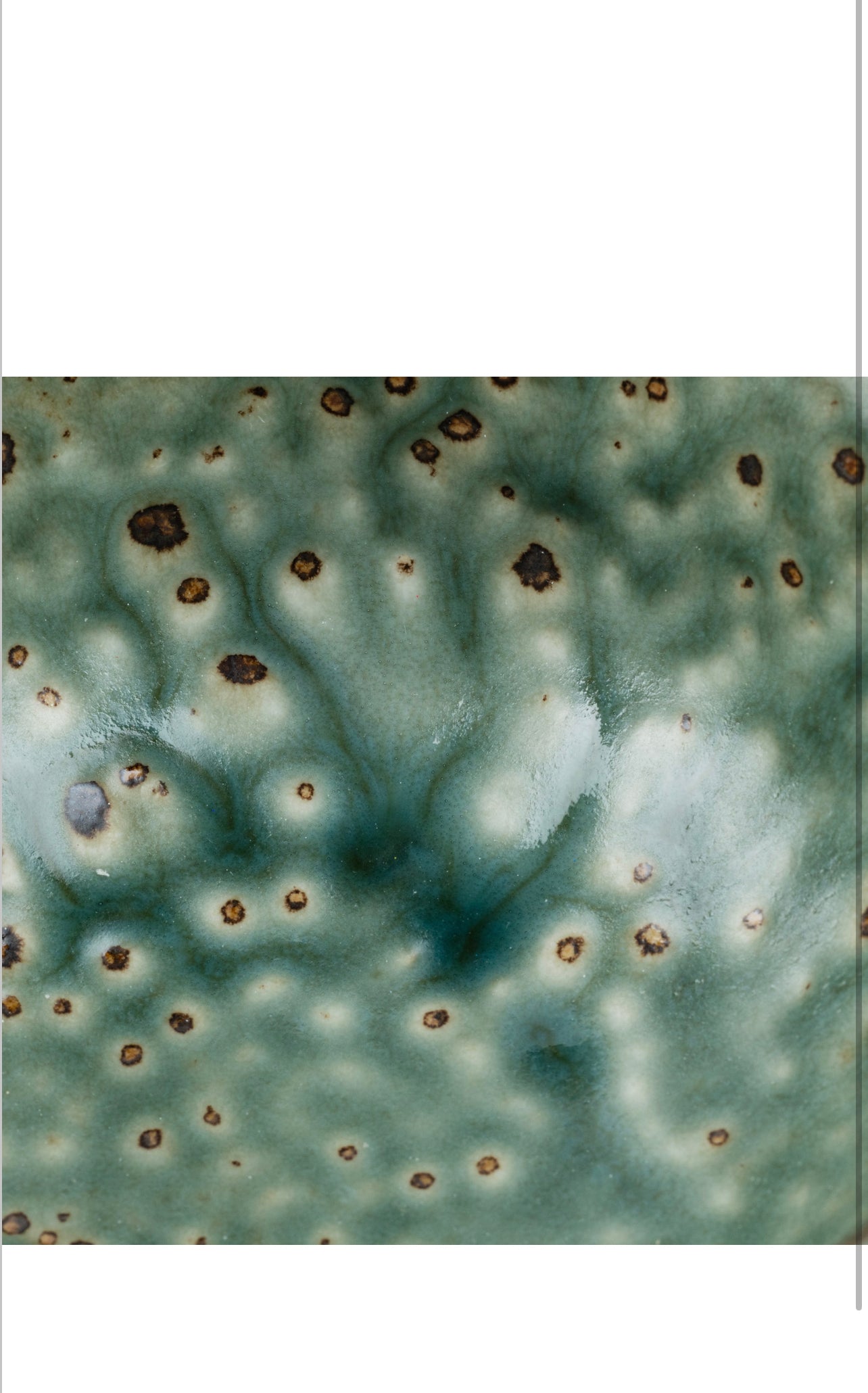 Green Wabi Sabi Premium Japanese Rice Bowl