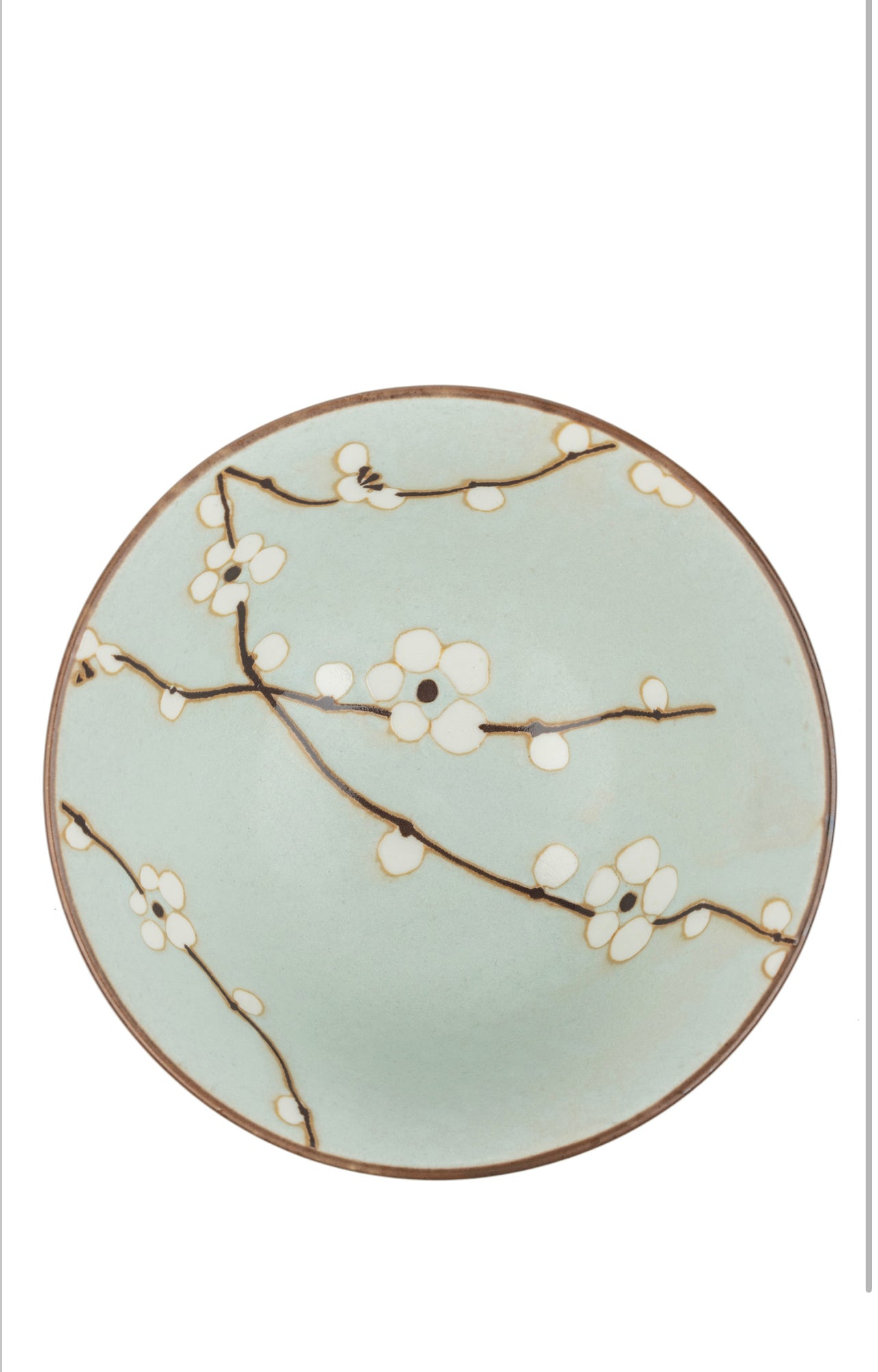 Soushun Cherry Blossom Japanese Rice Bowl Write