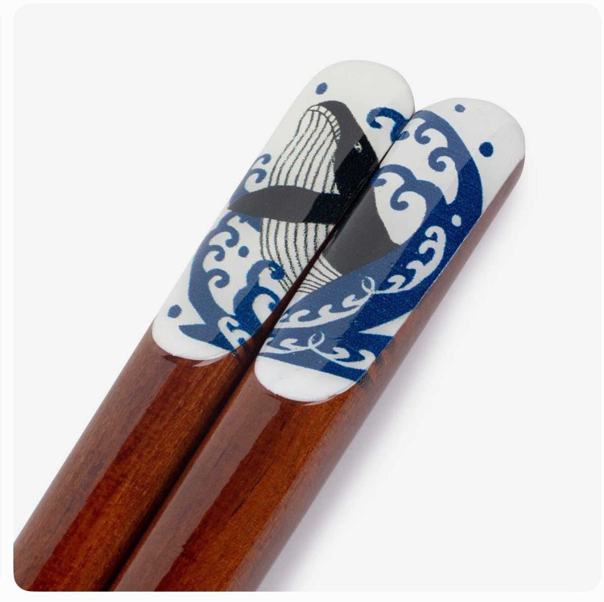Whale Indigo Blue Premium Japanese Chopsticks