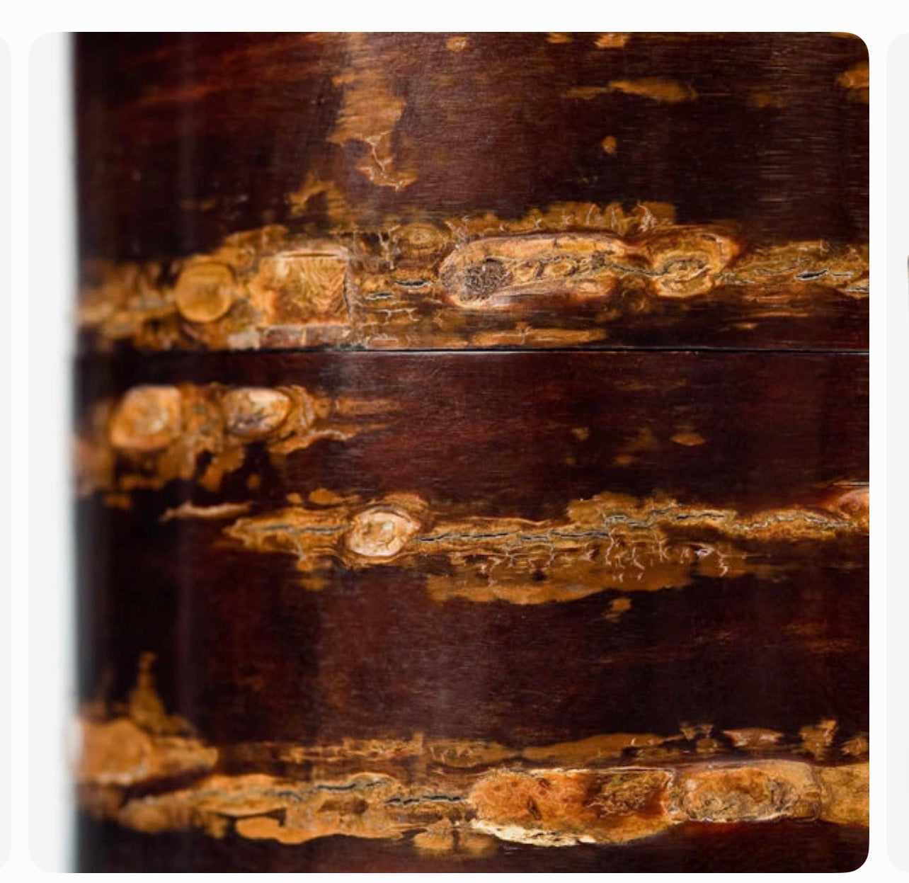 Large Cherry Bark Japanese Tea Caddy – Handmade in Japan