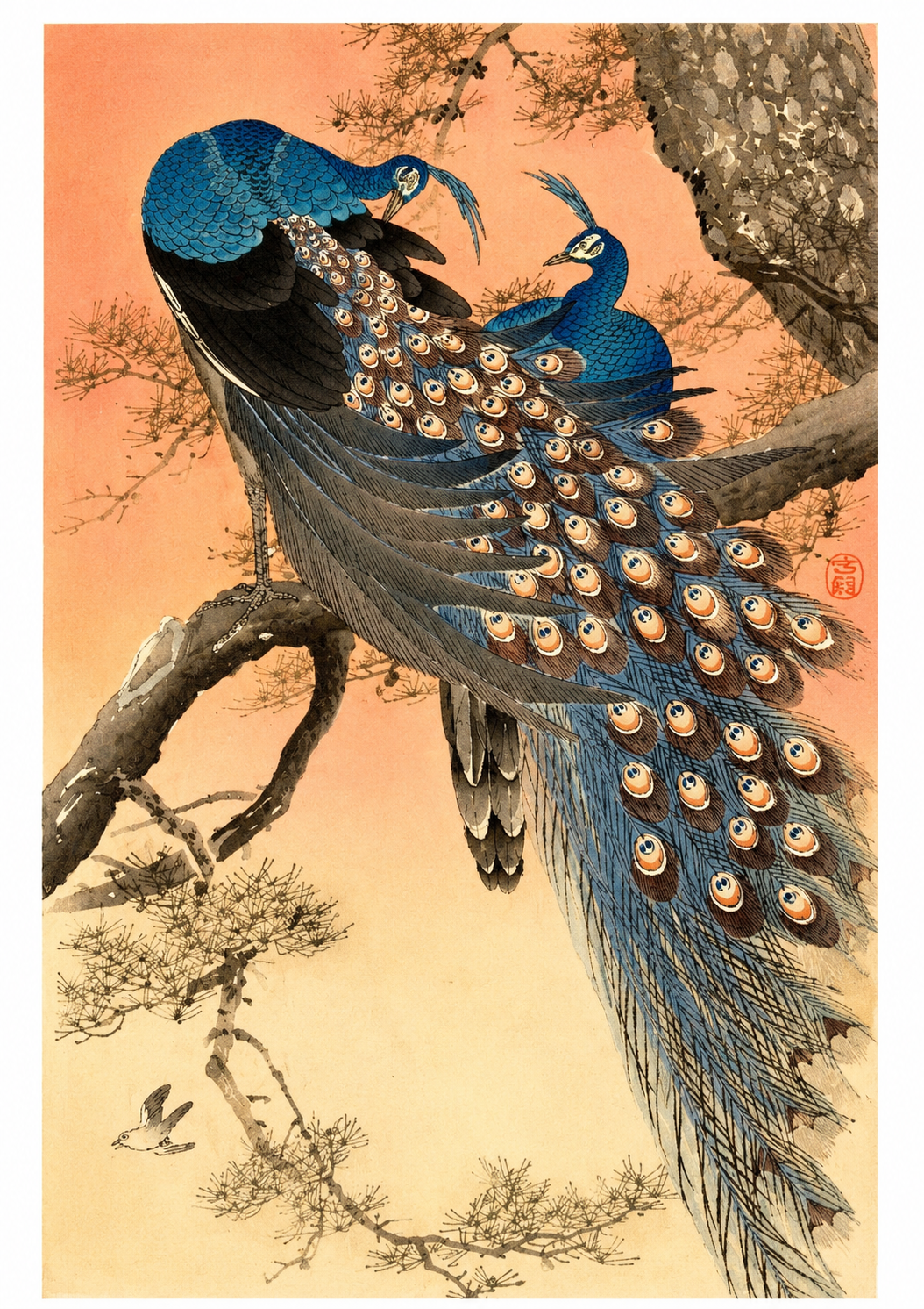 Ohara Shōson Two Peacocks on a Pine Tree Japanese Woodblock Print Art – warm amber sky