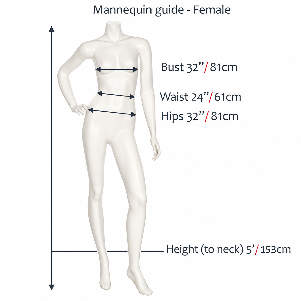 Female mannequin measurement guide showing bust 81 cm, waist 61 cm, hips 81 cm and height to neck 153 cm