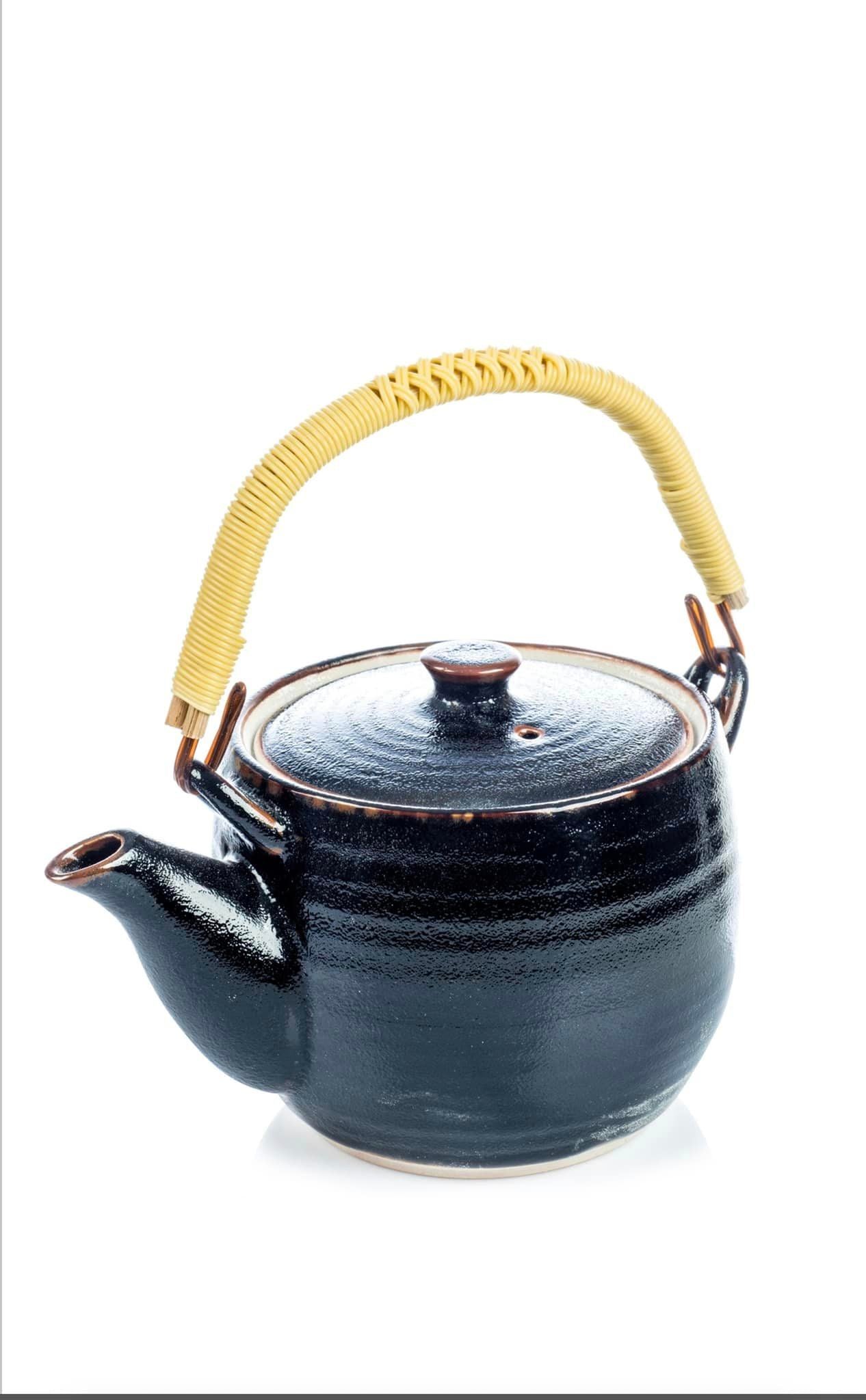 Tenmoku Black Japanese Teapot