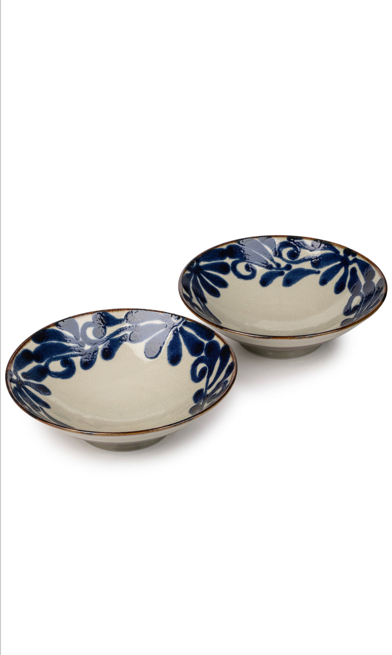 Ruri Karakusa Premium Japanese Pasta Bowl Set.